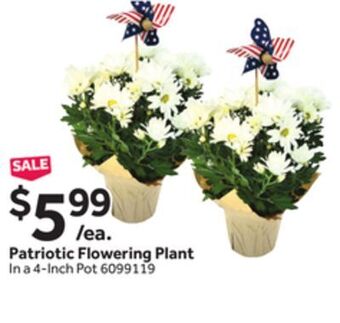 Stop&Shop Patriotic flowering plant offer