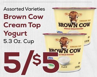 DeCicco & Sons Brown cow cream top yogurt offer