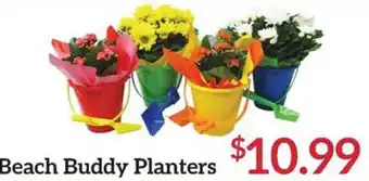 Martin's Beach Buddy Planters offer