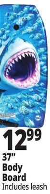 Ocean State Job Lot Big lizard 37 bodyboard offer