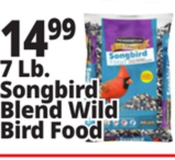Ocean State Job Lot Pennington ultimate nut & fruit blend wild bird seed, 7 lbs offer