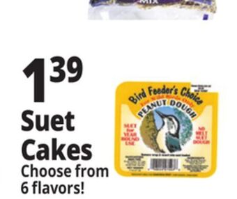 Ocean State Job Lot Suet cakes offer