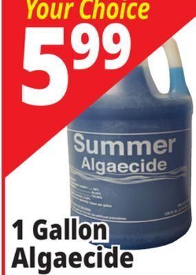 Ocean State Job Lot Summer algaecide, 1 gal offer