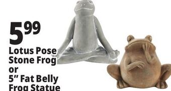 Ocean State Job Lot Stone frog statue offer