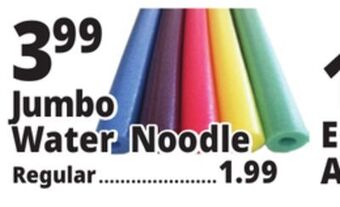 Ocean State Job Lot Jumbo water noodle offer