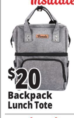 Ocean State Job Lot Backpack lunch tote offer