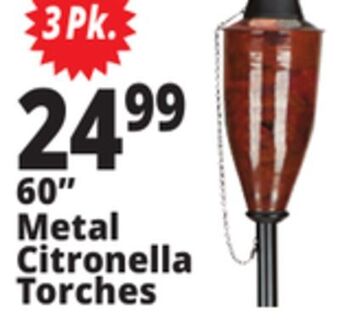 Ocean State Job Lot 60 metal citronella torches offer