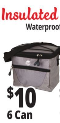 Ocean State Job Lot Insulated nylon coolers offer