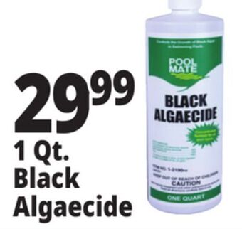 Ocean State Job Lot 1 qt. black algaecide offer
