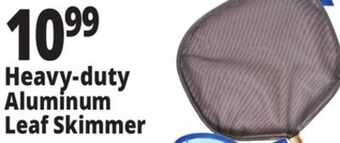 Ocean State Job Lot Heavy-duty aluminum leaf skimmer offer