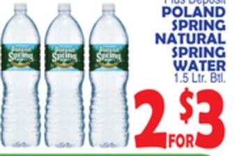Bravo Supermarkets Poland spring natural spring water offer