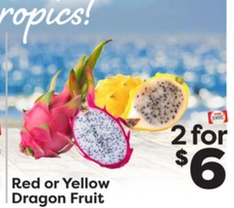 Weis Markets Red or yellow dragon fruit offer