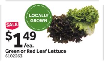 Stop&Shop Green or red leaf lettuce offer