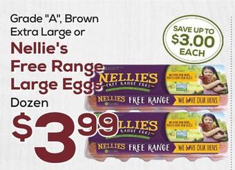 DeCicco & Sons Nellie's free range large eggs offer