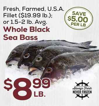 DeCicco & Sons Whole black sea bass offer