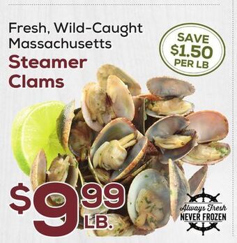 DeCicco & Sons Massachusetts steamer clams offer