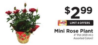ShopRite Mini rose plant offer