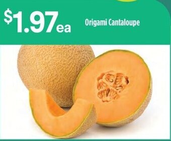 Raley's Origami Cantaloupe offer