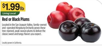Raley's Red or Black Plums offer