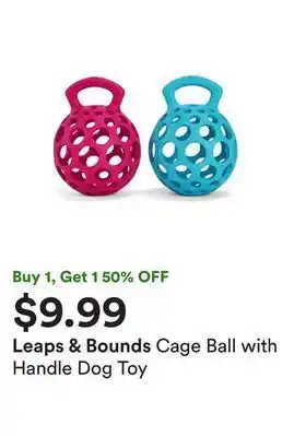 Petco Cage ball with handle dog toy offer