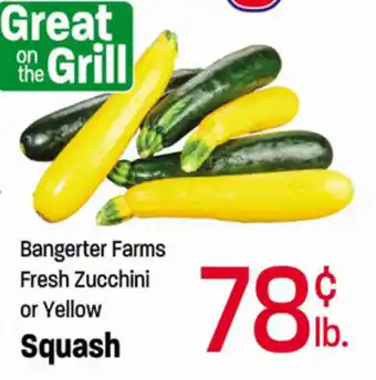 Ridleys Family Markets Squash offer