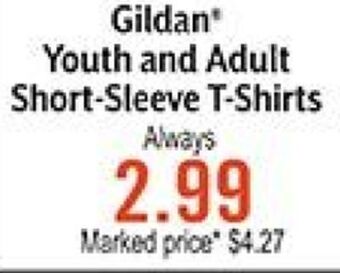 Hobby Lobby Gildan* youth and adult short-sleeve t-shirts offer