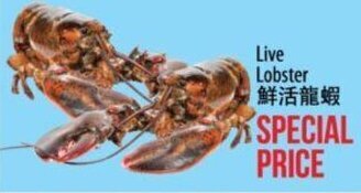 Hmart Live Lobster offer