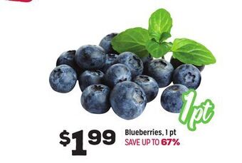 Grocery Outlet Blueberries, 1 pt offer
