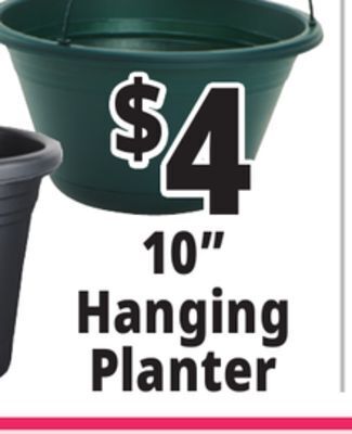 Ocean State Job Lot 10 hanging planter offer