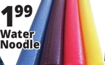 Ocean State Job Lot Assorted pool noodles offer