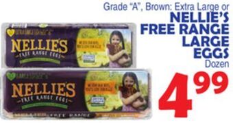 Bravo Supermarkets Nellie's free range large eggs offer