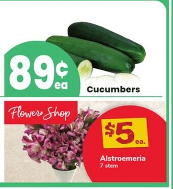 ACME Cucumbers offer