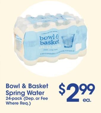Price Rite Bowl & basket spring water 24-pack offer