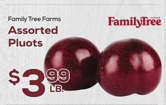 DeCicco & Sons Family tree farms assorted pluots offer