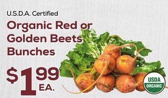 DeCicco & Sons Organic red or golden beets bunches offer