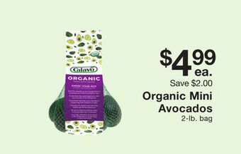 Fairway Store Market Organic mini avocados offer