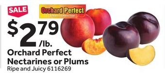 Stop&Shop Orchard perfect nectarines or plums offer