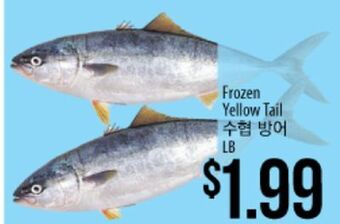 Hmart Frozen yellow tail offer