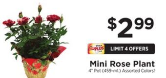 ShopRite Mini rose plant offer