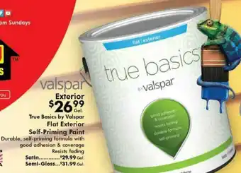 Valu Home Centers True Basics By Valspar Flat Exterior Self-Priming Paint Satin Or Semi-Gloss offer