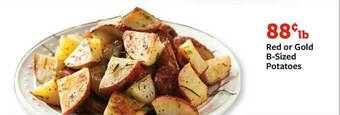 Fareway Red Or Gold B-sized Potatoes offer