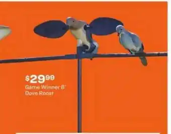 Academy Game Winner 8' Dove Roost offer