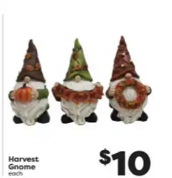 Weis Markets Harverst Gnome offer