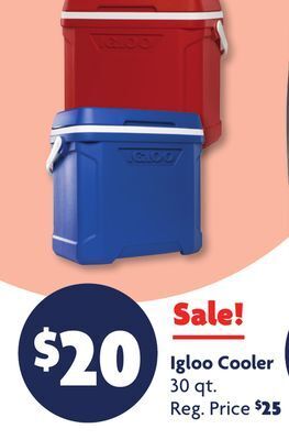 Family Dollar Igloo cooler offer