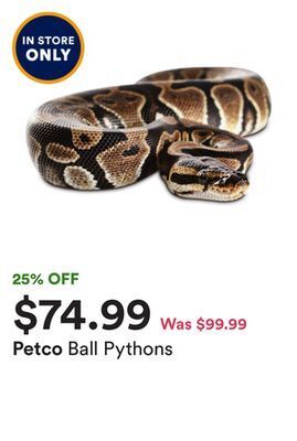 Petco Ball pythons offer