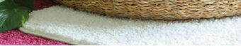 JC Penney Distant lands perfect color 17x24 bath rug offer