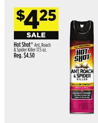 Dollar General Hot shot® ant, roach & spider killer offer