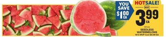 Food Lion Whole SEEDLESS WATERMELONS offer