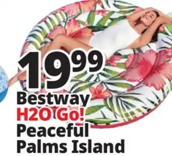 Ocean State Job Lot Bestway h2o go! palms island offer