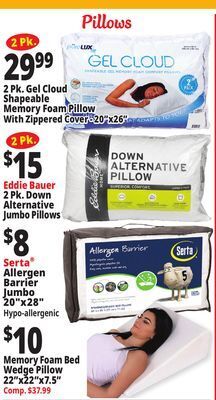 Ocean State Job Lot Pillows offer